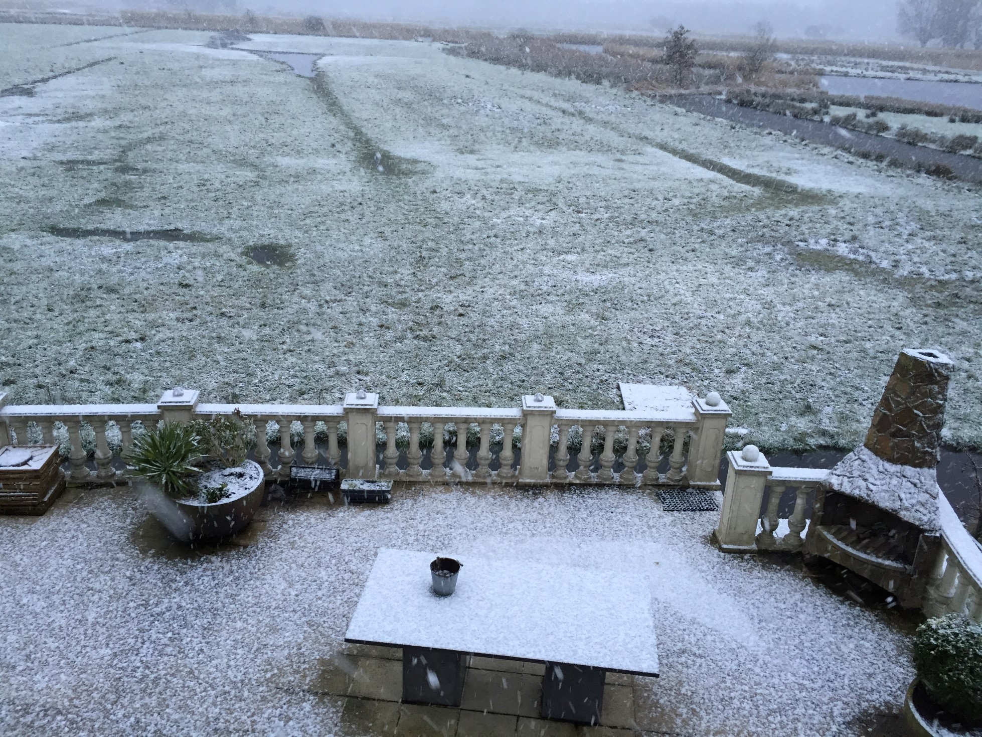 25feb2016 - sneeuw op t land